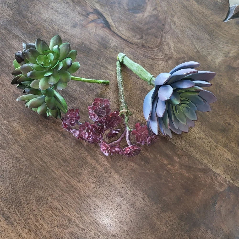 Faux Succulent Plants Set Of 3